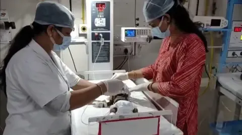 Newborn Interred Alive in the Country Struggles for Existence