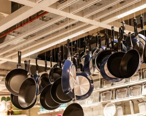 Non-Stick Eating, Aromatic Lactation and Zebra Cows Excel at 2025 Ig Nobel Honors