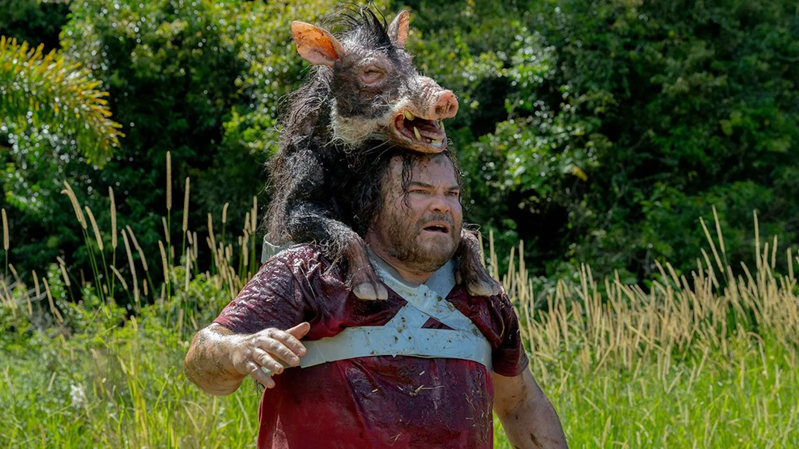 The Studio's Anaconda Film Revival Proves to Be a Really Good Concept