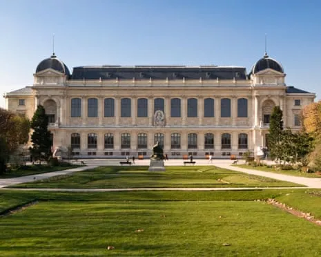 Invaluable Gold Pieces Stolen in Daring Robbery at France's Natural History Institution