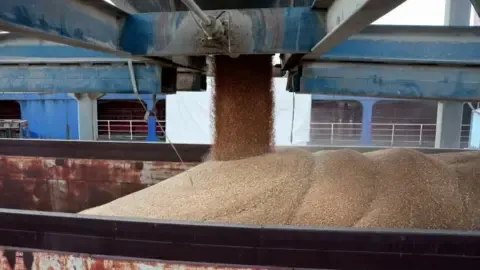 The nation Battles Gravest Dry Spell in Years, Pushing Millions Toward the Verge