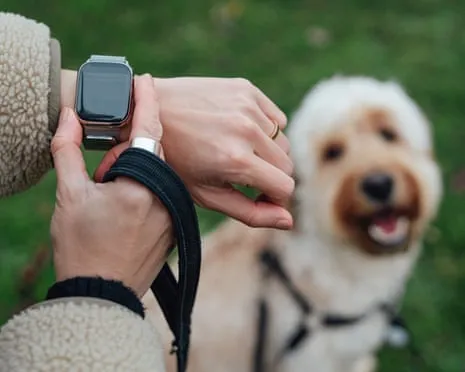 The Truth Regarding Smartwatches? Life Is Better Devoid of a Nagging Gadget on Your Wrist